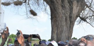 MISE EN SERVICE ÉLECTRIQUE : Keur Babacar Mbaye passe de « l’obscurité à la lumière »