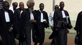 Procès radiation Sonko sur les listes électorales : Les images de la salle d’audience
