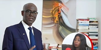 ‘Candidatures 2024 fantaisistes ou de calcul politiciens’ (Thierno Alassane Sall)