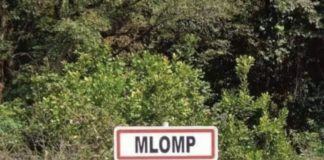 MLOMP : Pour une histoire de chiots, un homme tue son voisin