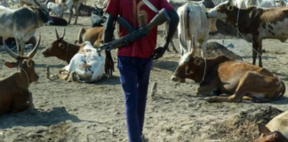Vol avec armes à feu dans le Balantacounda : président du comité de veille, Séraphin Mané blessé