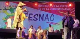 FESNAC ÉDITION 2024 : Fatick capitale des arts et cultures !