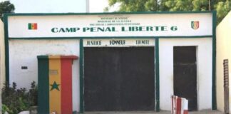 Vague de libération à Dakar et Louga : plus de 38 détenus politiques élargis de prison