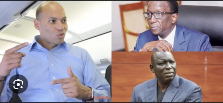 FAUX COMMUNIQUÉ ATTRIBUÉ AU COMITÉ DIRECTEUR DU PDS : Karim Wade annonce une plainte contre Amadou Ba et Madiambal Diagne