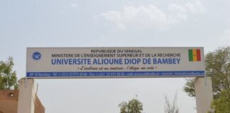 UNIVERSITÉ ALIOUNE DIOP DE BAMBEY : Le collectif des vacataires observe une grève de 72 heures renouvelable