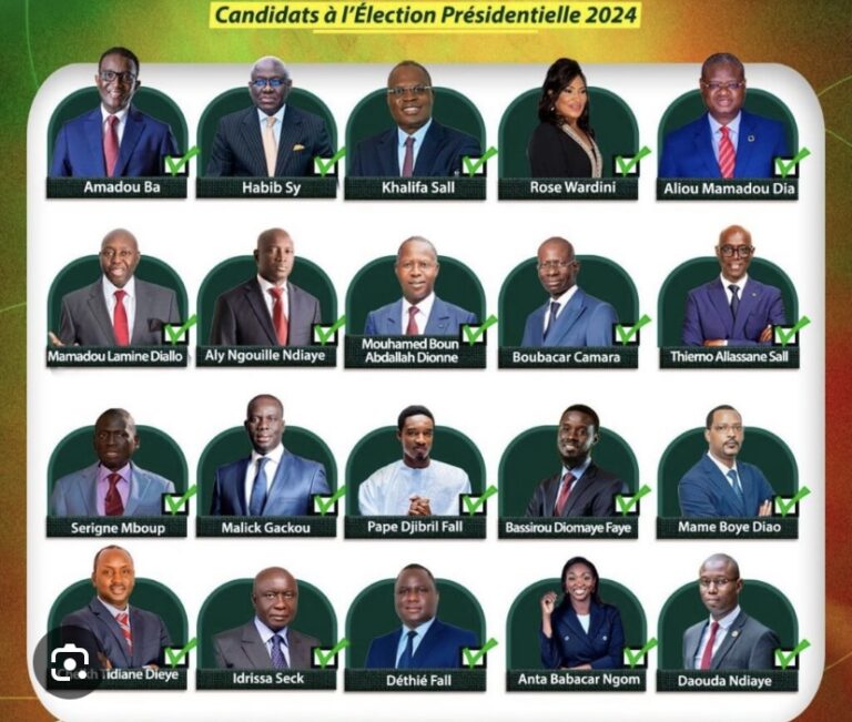 PRÉSIDENTIELLE 2024 : Les candidats perdants rapportent 500 millions de FCFA à l’État