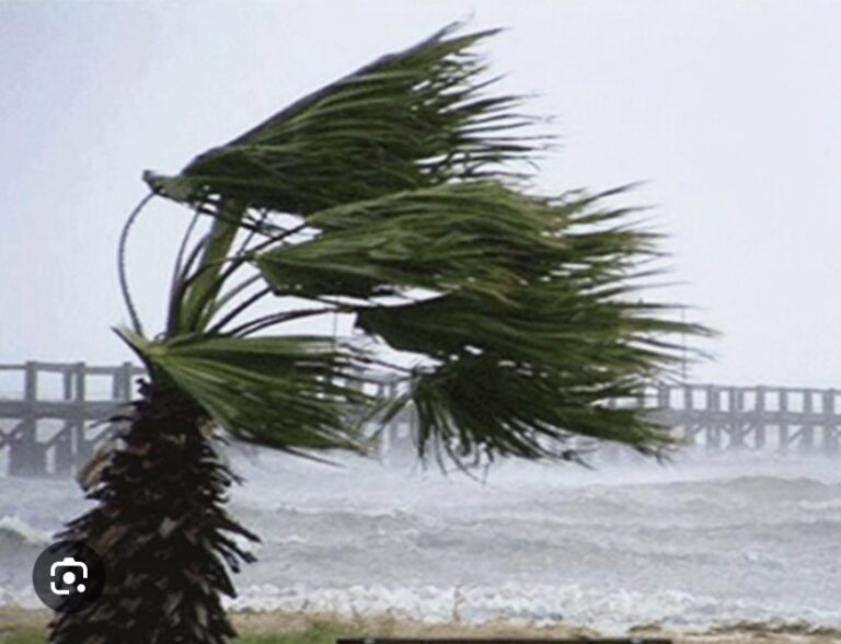 MÉTÉO : Des rafales de vent annoncées sur tout le littoral sénégalais