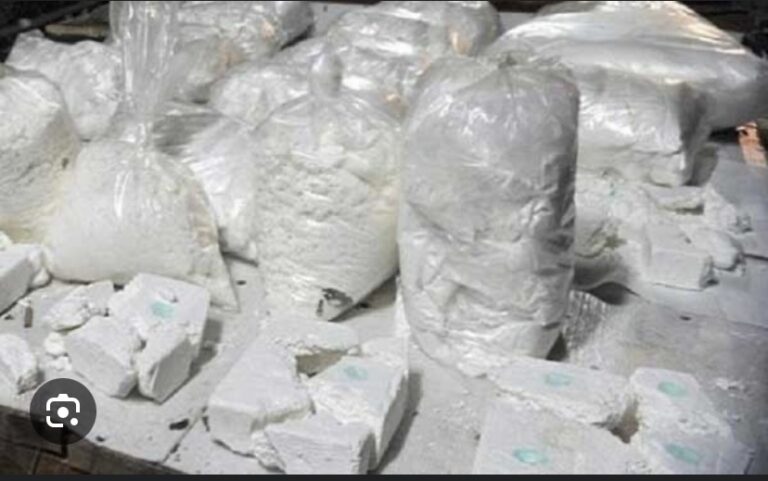 TAMBACOUNDA : Plus de 1000 kg de cocaïne saisis !