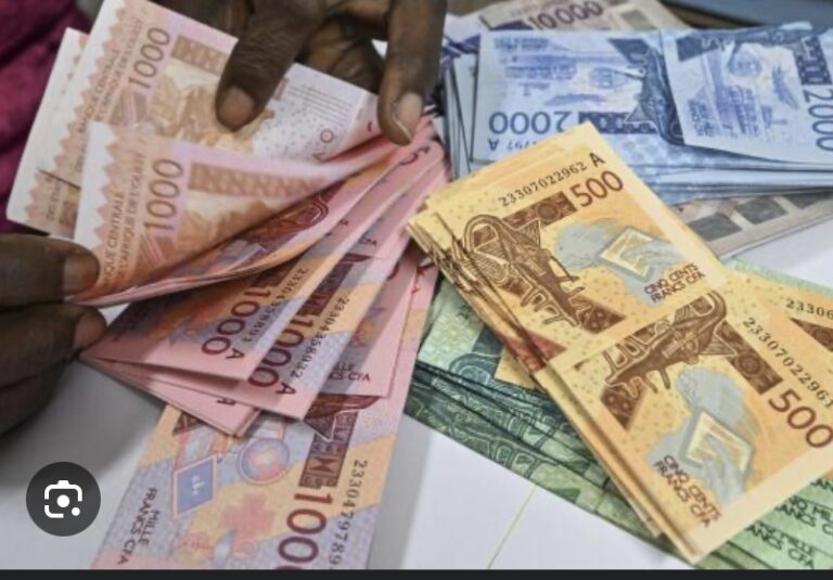 AVENIR DU FRANC CFA : ‘C’est aux États africains de décider ! ’ (Ministre français)