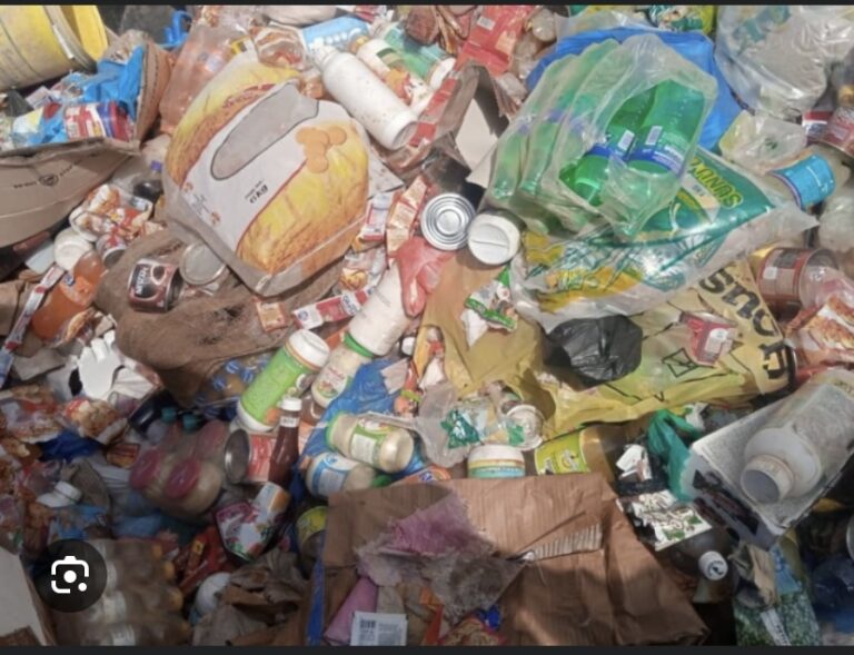 THIES : Trois tonnes de produits impropres à la consommation saisies