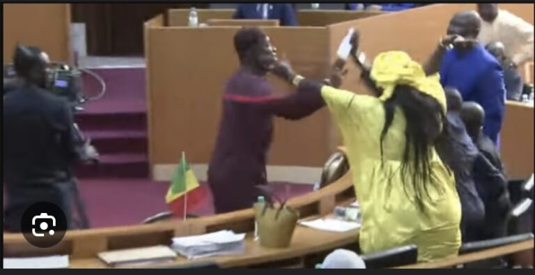 AFFAIRE AMY NDIAYE GNIBY : La requête des députés du PUR examinée lundi prochain