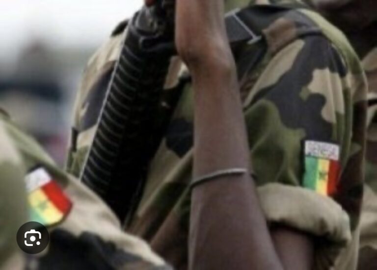 THIÈS : Un sous-officier de l’armée sénégalaise arrêté avec 5kg de chanvre indien