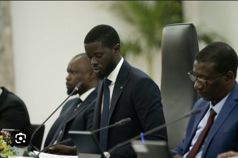 CONSEIL DES MINISTRES : Le Président Diomaye « priorise » le développement du secteur de l’élevage et des productions animales