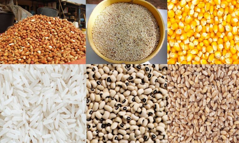 [REPORTAGE &lsquo;TRACT&rsquo;] NOUVELLES MESURES SUR LA DISTRIBUTION DES SEMENCES: L’Organisation des Paysans du Sénégal fait le point et formule des recommandations 