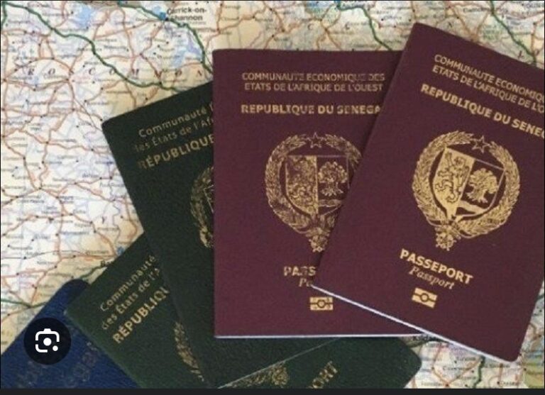 PASSEPORTS DIPLOMATIQUES : Vers la suspension de 130 titres de voyage