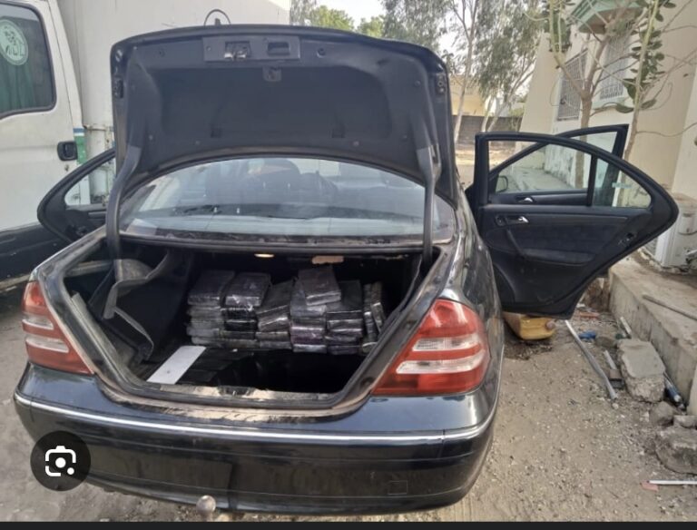 TRAFIC DE STUPÉFIANTS : Après Keur-Ayip, plus de 30 kg de cocaïne saisis à Fatick