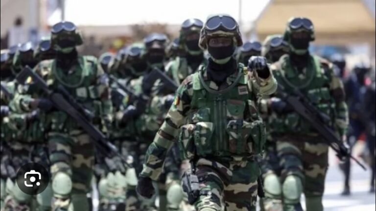 CLASSEMENT DES PUISSANCES MILITAIRES : Le Sénégal en ‘régression’