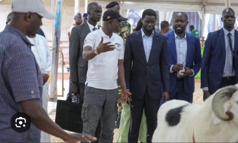 TABASKI 2024 : Le Président Diomaye marchande deux moutons pour ses deux femmes !