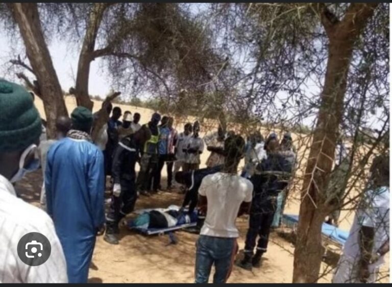 AFFRONTEMENTS À MALEM-HODAR : Un berger tué, le chef de village arrêté