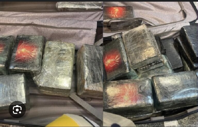 AIBD : Une Française interpellée avec 40 kg de cocaïne
