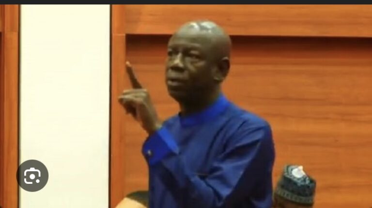 INCIDENT AU PARLEMENT DE LA CEDEAO ENTRE GUY MARIUS SAGNA ET LA VICE-PRÉSIDENTE : Wilane met en garde les autres parlementaires