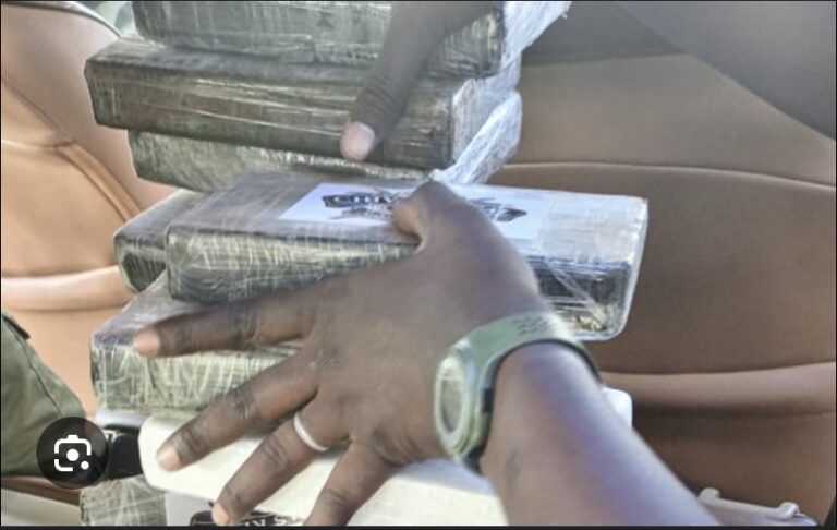 TRAFIC DE DROGUE : 365 kg de cocaïne saisis par la Douane à Koumpemtoum