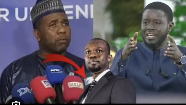 100 JOURS DU DUO SONKO-DIOMAYE : Bougane tire sur le nouveau régime