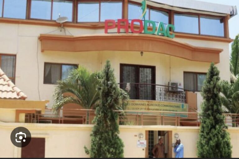 PRODAC : Cheikh Ahmadou Bamba Ngom remplace Djimo Souaré