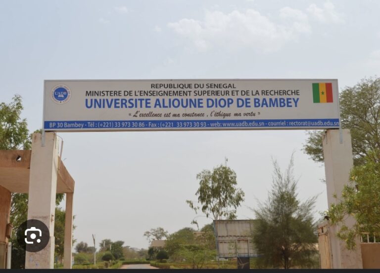 CAMES 2024 : L’Université Alioune Diop de Bambey brille avec 82,35% de réussite