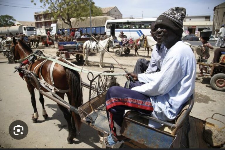 DAKAR : Interdiction de la circulation des «charrettes » dans le département à partir de ce lundi