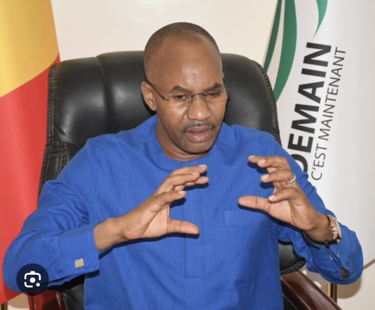 MAMADOU IBRA KANE DÉCU DES TROIS MOIS DE DIOMAYE : ‘Le pays est au bord de l’ingouvernabilité’