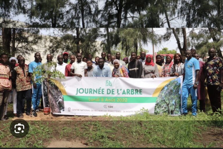 JOURNÉE NATIONALE DE L’ARBRE : Touba abrite l’édition 2024