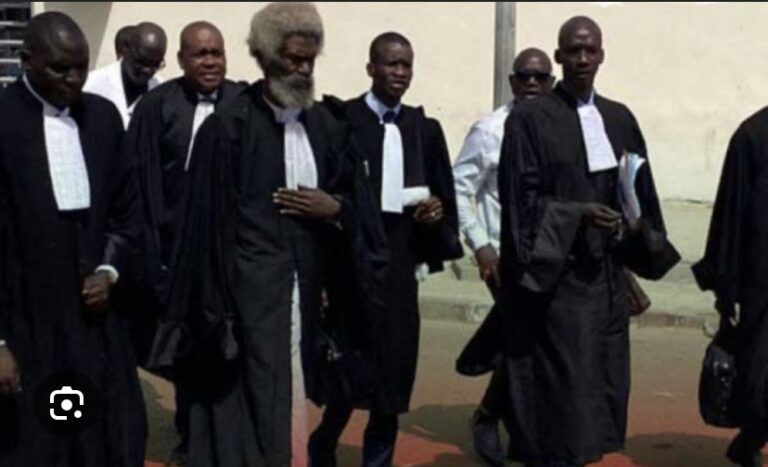 JUSTICE : Les avocats d’Ousmane Sonko annonce une plainte contre Madiambal Diagne
