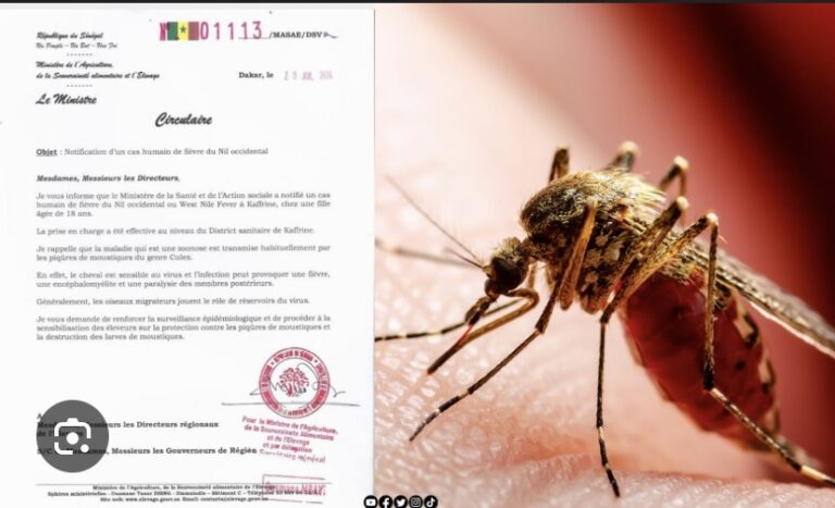 KAFFRINE : Un cas humain de fièvre du NIL détecté chez une jeune fille de 18 ans