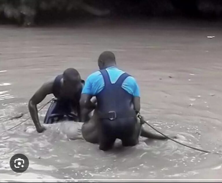 DAROU RAHMANE : Un ‘talibé’ perd la vie dans un bassin de rétention
