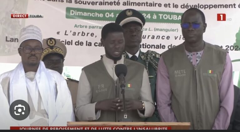 41e ÉDITION DE LA JOURNÉE INTERNATIONALE DE L’ARBRE : Le Chef de l’État félicite l’engagement de « Touba Ca Kanam »