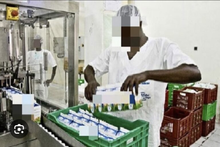 [L’Éco des savanes] Usine Satrec Vitalait : du lait ‘avarié’ pour ses travailleurs ?