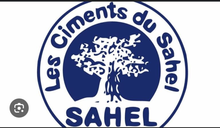 CORRUPTION PRÉSUMÉE DU MINISTRE DU TRAVAIL : Les Ciments du Sahel porte plainte contre le ‘tiktokeur’ Ziad Mouhamed Fall