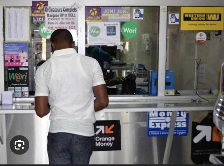 ‘L’IMPÔT AFFECTIF SUR LES AFRICAINS DE LA DIASPORA’ : Voici pourquoi ils veulent cesser les transferts d’argent vers l’Afrique