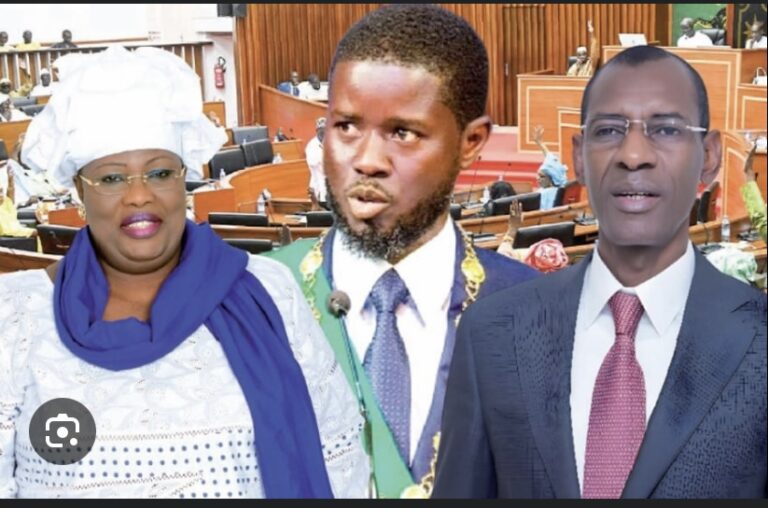 HCCT ET CESE : Diomaye limoge Aminata Mbengue Ndiaye et Abdoulaye Daouda Diallo
