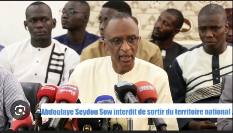 EN CONFÉRENCE DE PRESSE : Abdoulaye Sow raconte le film de son blocage à l’aéroport