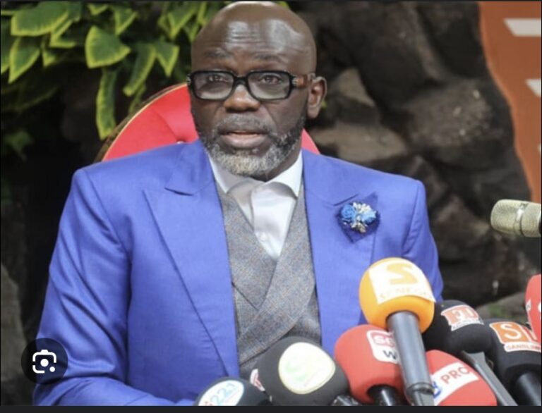 BRIGADE DE CYBERCRIMINALITÉ : Cheikh Yerim Seck placé en garde à vue