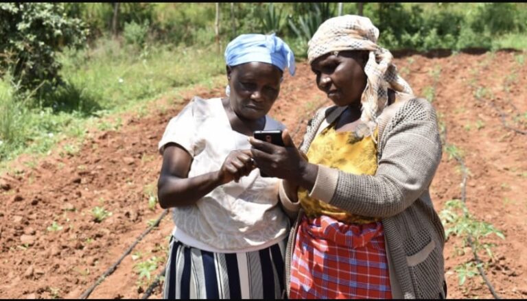 Cameroun : L’intelligence artificielle, un outil de résilience pour les femmes rurales en zones de crises ?