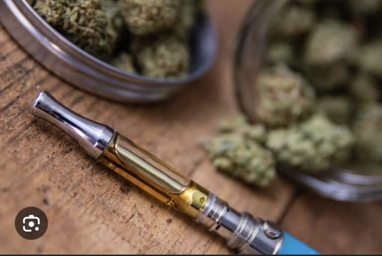 TRAFIC DE E-CANNABIS AU SÉNÉGAL: L’Octris démantèle un vaste réseau
