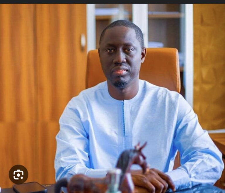 [TRIBUNE] ‘Mon opinion sur les grandes lignes de la LFI 2025’ par Pape Malick Ndour