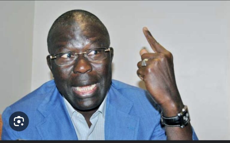 BABACAR GAYE SUR L’ADOPTION DES DEUX PROJETS DE LOI DE CE MARDI: « Le Président et son gouvernement se sont tirés une balle dans le pied »