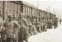 Thiaroye 44 : Alassane Mbaye retrace l’histoire, du reniement à la reconnaissance