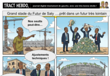 Le « Grand Stade du Futur » de Saly Portudal sera-t-il prêt pour la Coupe du Monde… de nos petits-enfants ?