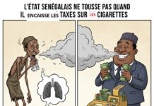 Tabagisme en baisse, les poumons disent merci : …On note que l’État, lui, ne tousse pas quand il encaisse les taxes sur le tabac