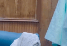 Ce dimanche 22 février, le Président Idrissa Seck en recueillement auprès de Serigne Mountakha Mbacké et de Serigne Moussa Nawel Mbacké